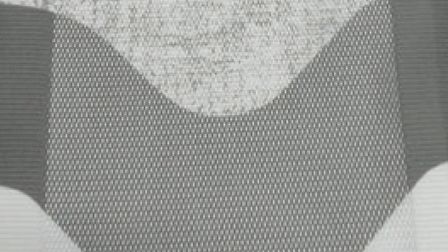 ZP-09